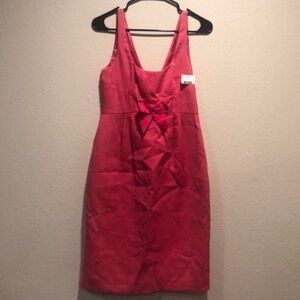 Elegant Pink Sleeveless Dress